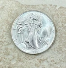 1993 American Silver Eagle Dollar 1 Oz .999 Silver Coin Weight 31.4