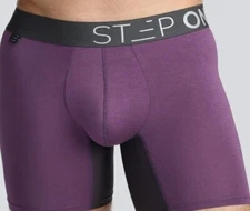 STEP ONE JUICY PLUMS BOXER BRIEF LARGE