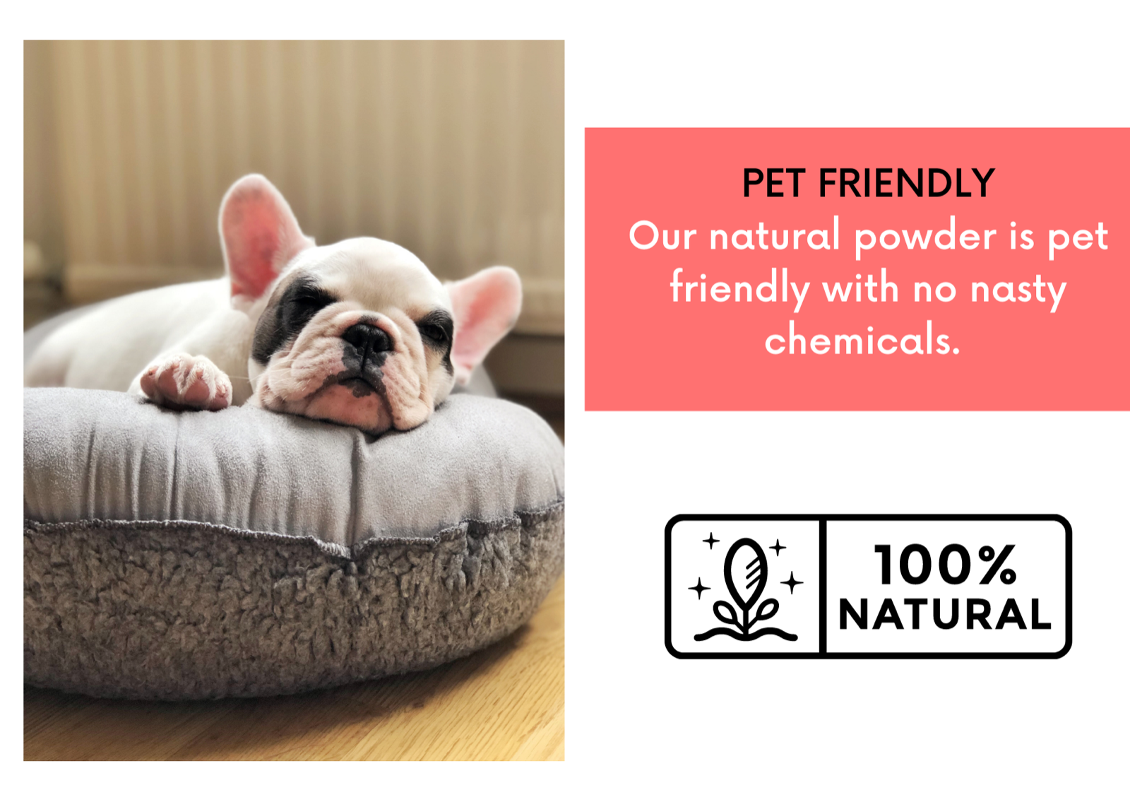 Natural Organic Flea Treatment For Dogs Kill Mites Fleas Ticks Lice Insects eBay