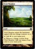 Magic the Gathering Vivid Meadow Commander 2011 MTG Free Shipping!
