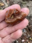 Lake Superior Agate 1.40oz — photo 5