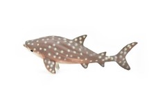 Whale Shark, Realistic Toy Model Plastic Replica, Kids Gift 6" F1903