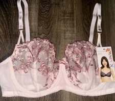 Joyspun Women's Balconette Unlined Underwire Mesh Bra Embroidered Lace (A) ~ 42D