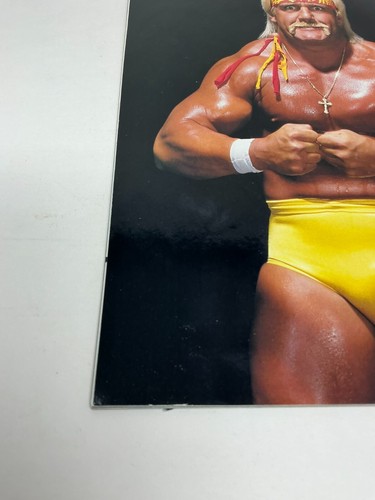 WWE Wrestling Magazin WWF OHNE POSTER Hulkamania August 2002 Sammler - Bild 7 von 10