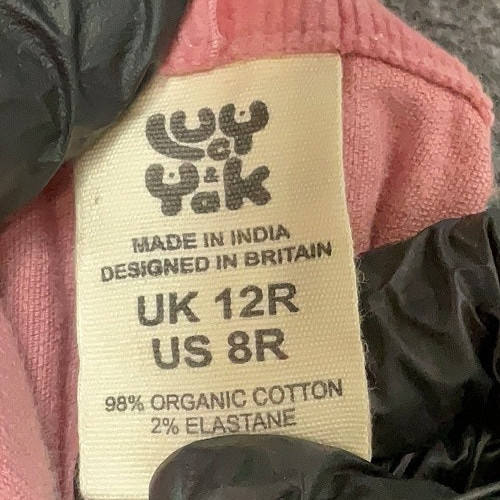 Lucy & Yak Original Corduroy Dungarees in Ash Pink UK 12R US 8R NWOT image 3