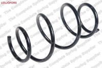 LesjÖFors 4062081 Fahrwerksfeder FüR Nissan