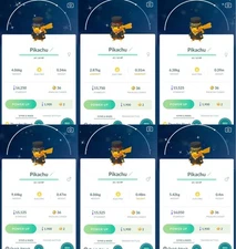 Shiny Dapper Blue Red Yellow Pikachu GoFest 2025 - MlNl P T C - Read Description