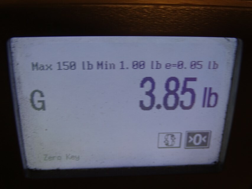 Picture 13 of 13