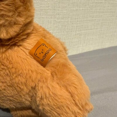 Nct haechan gomdo lee 20cm bear plush doll master ikomdo Kpop