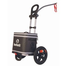 Carrello spesa bici trolley rimorchio bici con borsa frigo 20Ltr raffreddamento 68h