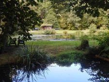 Photo A2 Pond at Chilworth Chilworth/TQ0247 A secluded fishpond on the  c2019