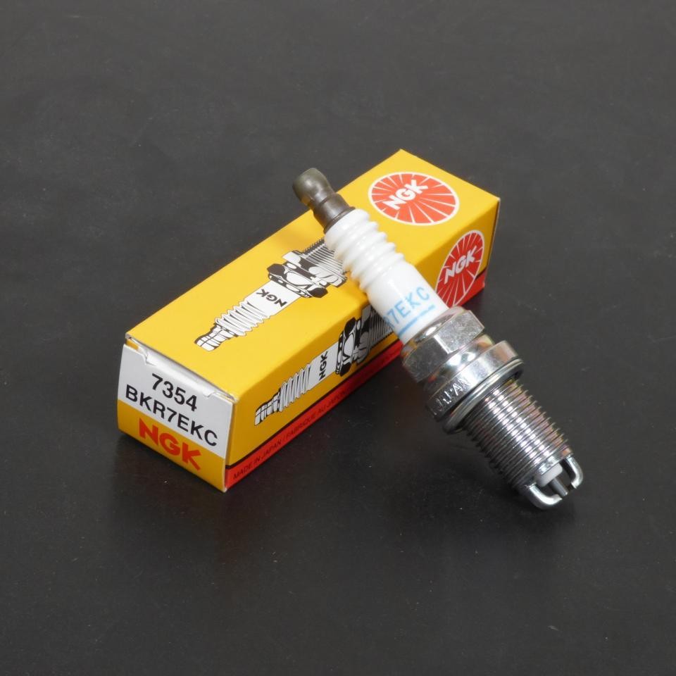 Bougie NGK pour BMW 1200 HP2 Enduro 2006-2009