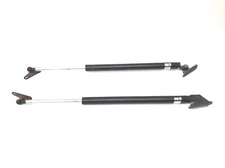 2000 Lexus RX300 (2) Gate Lid Shocks Lift Support Struts 6895049016 6896049016