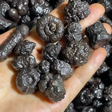 1kg wholesale Limonite & Hematite pseudomorph after Marcasite - Prophecy Stone