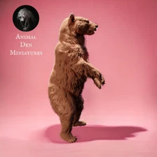 Black Bear Standing 3-d printed Model Railroad Diorama Wild Animal