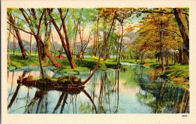 Vintage Linen Postcard of Tranquil River Scene by Asheville Post Card Co.