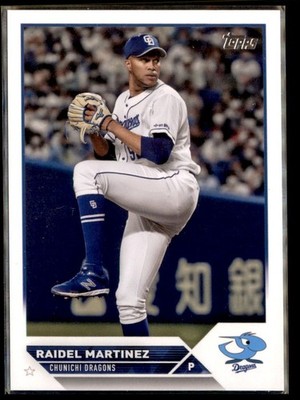 topps 2023 NPB ライデルマルティネス　5シリーズ 2023 Topps NPB Nippon Professional Baseball - Raidel Martinez #24