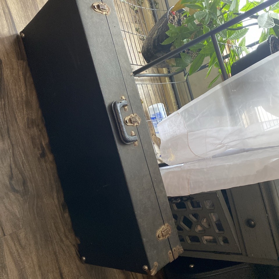 1979 Emmons Pedal Steel Guitar eBay