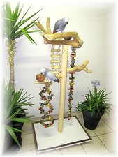 Freisitz, Papageienspielzeug, ORIGINAL Java Holz, Aras, größere Papageien,165 cm