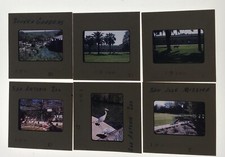 Lot Of 6 Kodak Transparency Slides Zoo Animals  Landscapes From March-May 1961