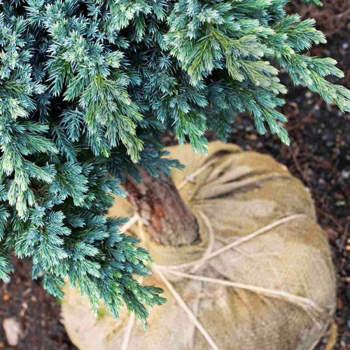 Jute-Netz 100 % Natürlicher (1,66€ - 7,20€ /m2) Ökologischer Naturbelassener - Bild 7 von 56
