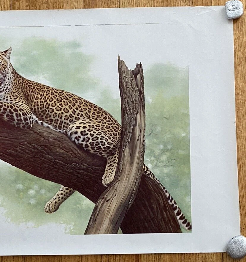 Picture 7 of 9