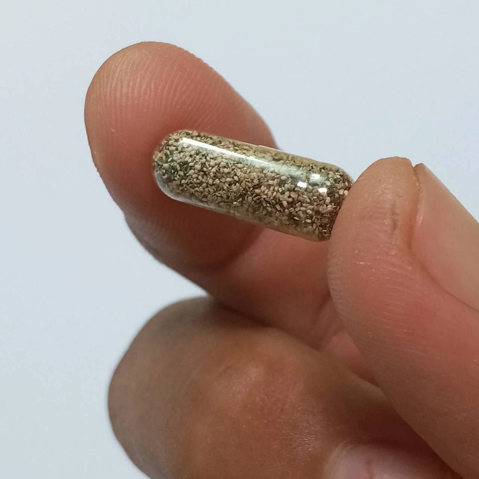 Moina Macrocopa huevos quistes peces vivos alimento guppy proteína agua natural 50 Cap. Foto 2 de 4