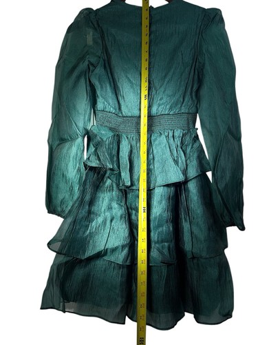 Neu ohne Etikett Rachel Parcell langärmliges Rüschenkleid metallic bestickt grün Größe 0 - Bild 12 von 14