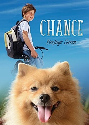 CHANCE By Beejaye Green *Excellent Condition*