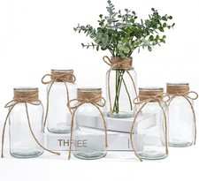 Vintage Glass Vases for Flowers, Set of 6 Clear Vases for Farmhouse