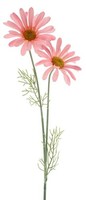 Artplants KüNstliche Margerite Sopy, Rosa, 55Cm
