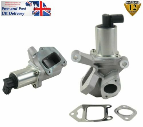 Ssangyong egr remover
