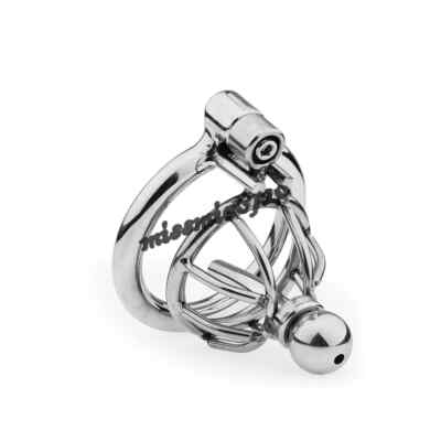 Male Chastity Cage Device Anti-cheating Ring Metal Tube Plug Sounding