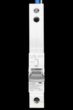 DORMAN 40 AMP CURVE C 10kA 100mA RCBO TYPE AC KR1PC40100