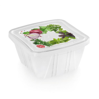 Snips 3er Set Frischhaltedosen - Kunststoff Obst & Salat Box/Halter/Aufbewahrung