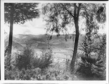 General View Of Redlands From Smiley Heights Hillside 1900 California Old Photo