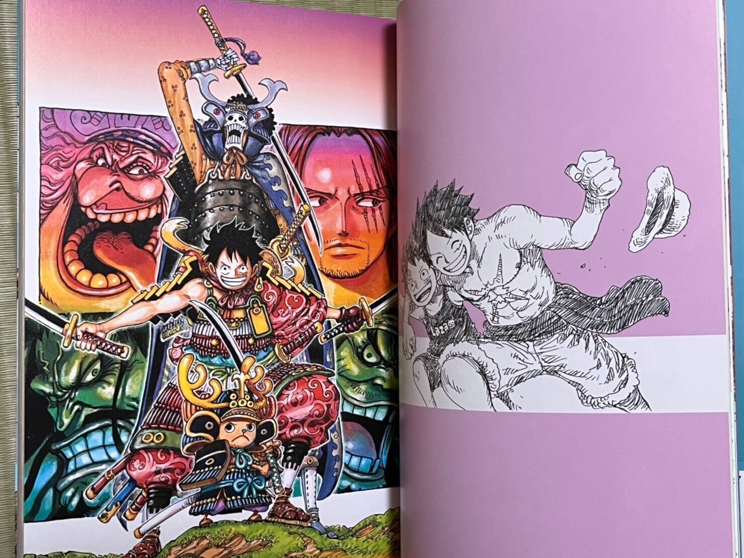 ONE PIECE COLOR WALK 10 DRAGON Eiichiro Oda Art Collection (Apr