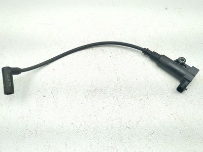 20-25 Massimo T-Boss 410 Ignition Coil 33100-116-0000