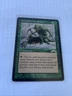 Survival of The Fittest Magic The Gathering Exodus MTG Rare Unplayed Excellent