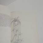 Bild 6 von 9