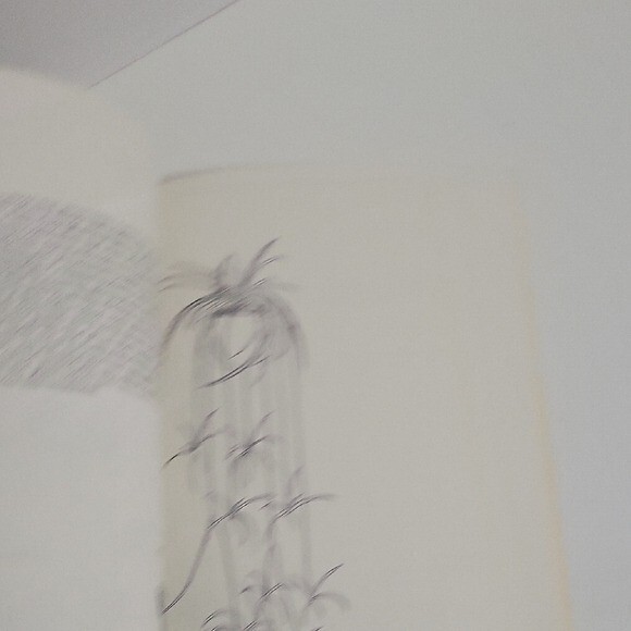 Picture 6 of 9