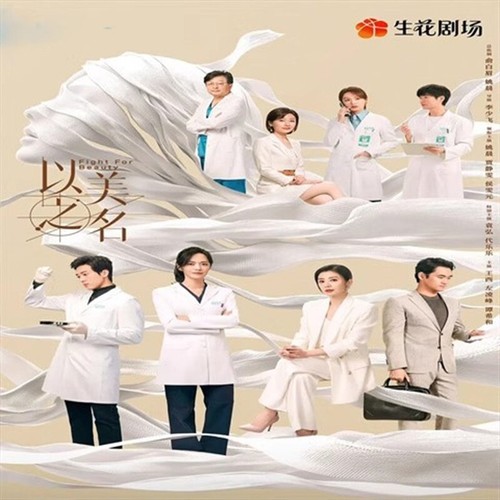 Chinese Drama fight for beauty Chinese Sub 以美之名 Boxed 2025 - Picture 3 of 5