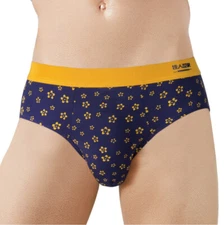 2Pack Cotton Breathable Soft Men's Fiber Fashion Briefs Sexy Gay Triangle Pants