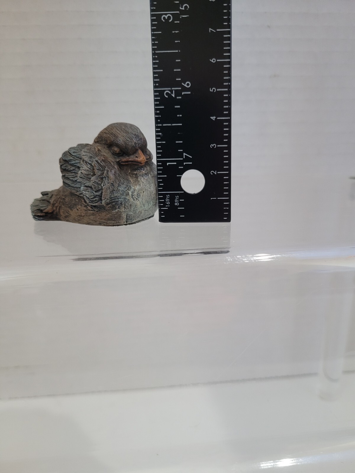 Small Bird Nesting With Closed Eyes 