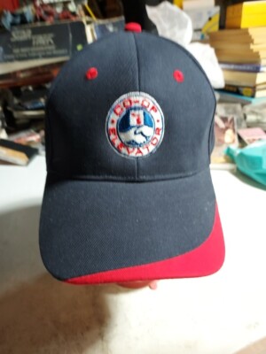 Co-Op Elevator Baseball Hat Cap Blue One Size Michigan Farm Cooperative  UP
