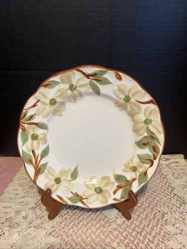 Stangl Piatto da Insalata Coloniale in Legno di Cane Dipinto a Mano 8" - Vintage - Foto 1 di 7