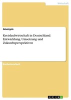 Kreislaufwirtschaft In Deutschland. Entwicklung, Umsetzung Und Zukunftspers ...