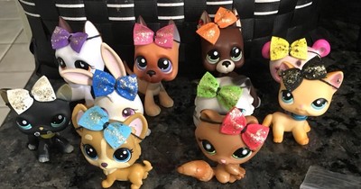 littlest pet shop barbie