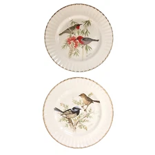Set of 2 Royal Vale Collector Plates Birds of the World 10" Bone China Vintage