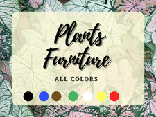 POTTED PLANTS ALL Colors